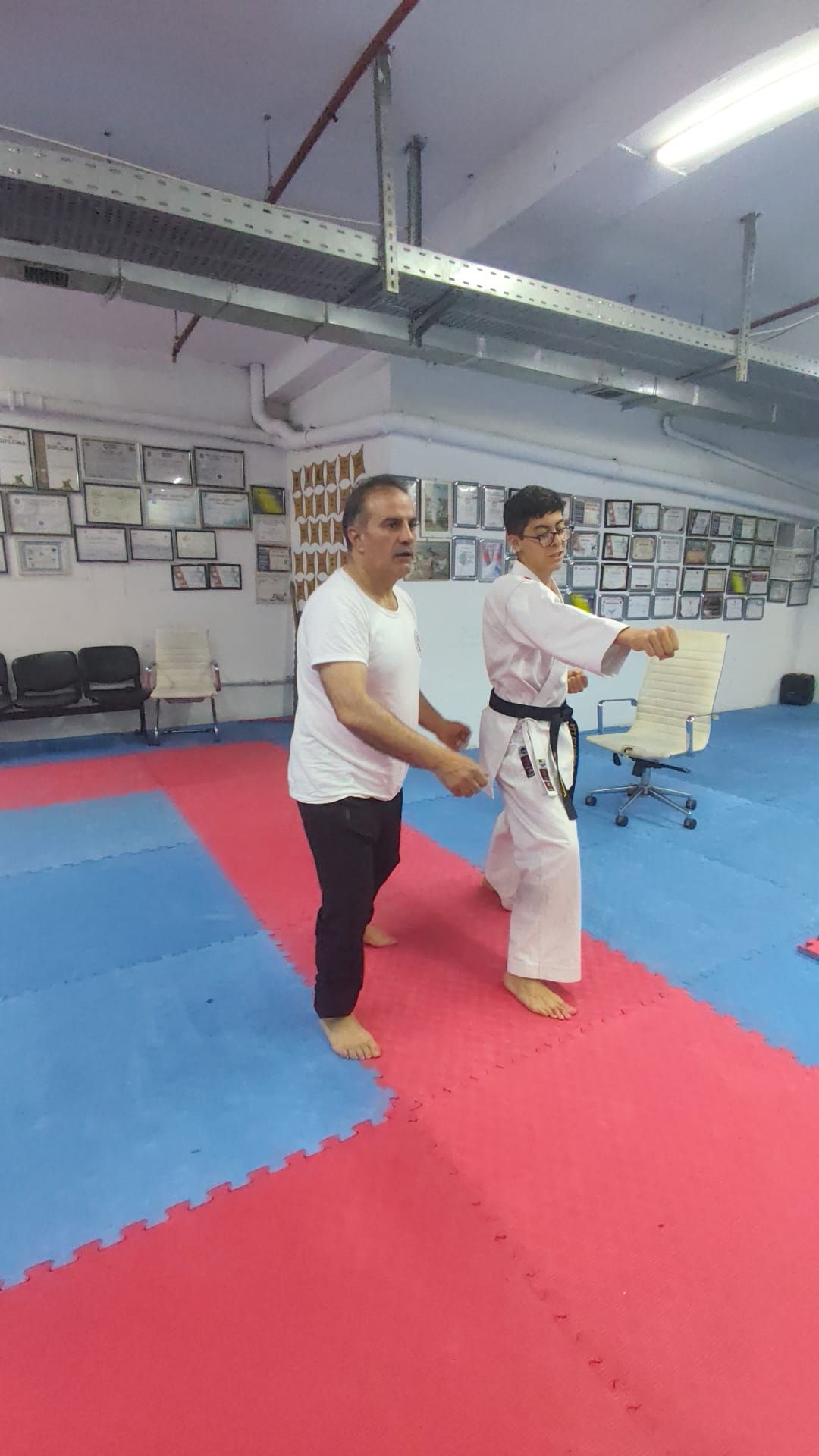 ali 1